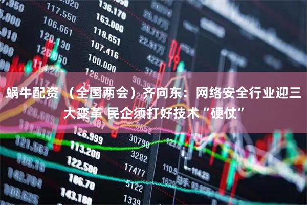 蜗牛配资 （全国两会）齐向东：网络安全行业迎三大变革 民企须打好技术“硬仗”