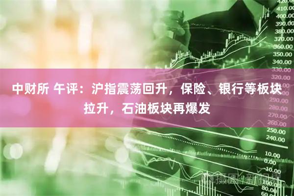 中财所 午评：沪指震荡回升，保险、银行等板块拉升，石油板块再爆发