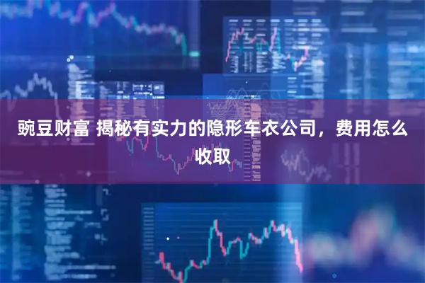豌豆财富 揭秘有实力的隐形车衣公司，费用怎么收取