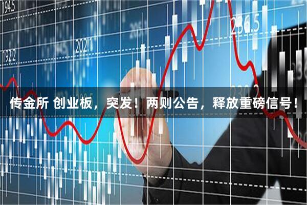 传金所 创业板，突发！两则公告，释放重磅信号！