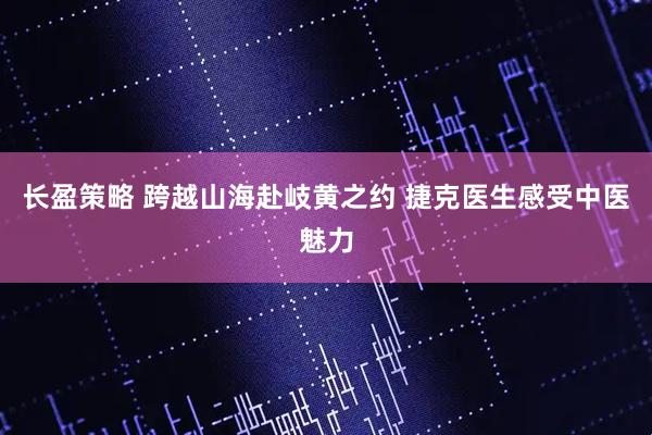 长盈策略 跨越山海赴岐黄之约 捷克医生感受中医魅力